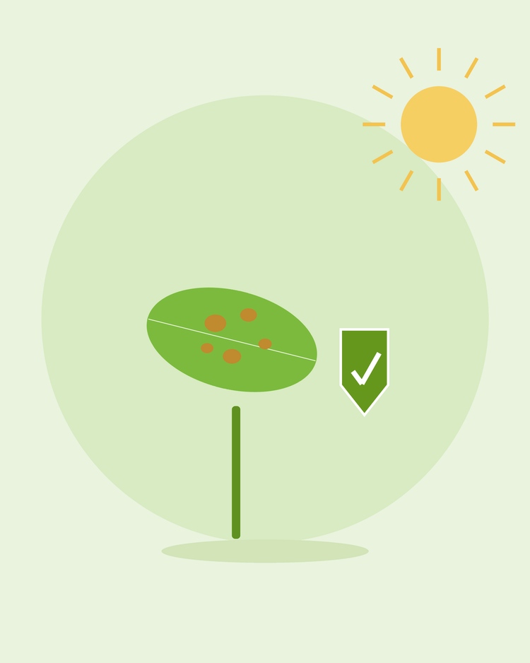 Ilustração plana de uma folha com manchas ao lado de um escudo de proteção verde — como prevenir doenças comuns das plantas, da SeedsChoice