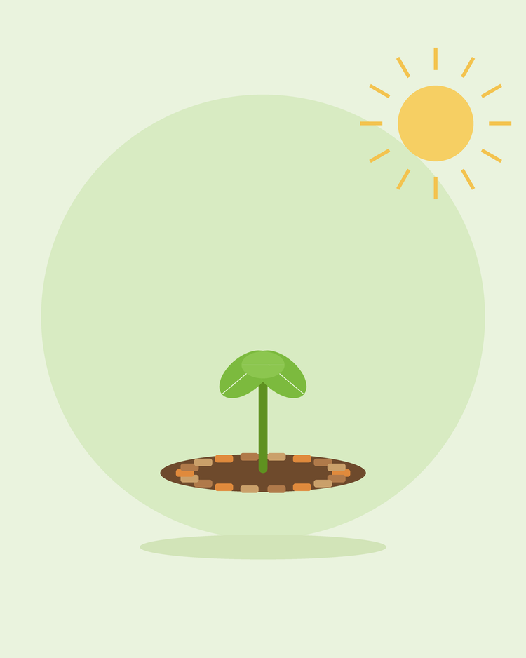 Ilustração plana de uma plântula rodeada de casca de mulching — mulching e controlo de infestantes, da SeedsChoice