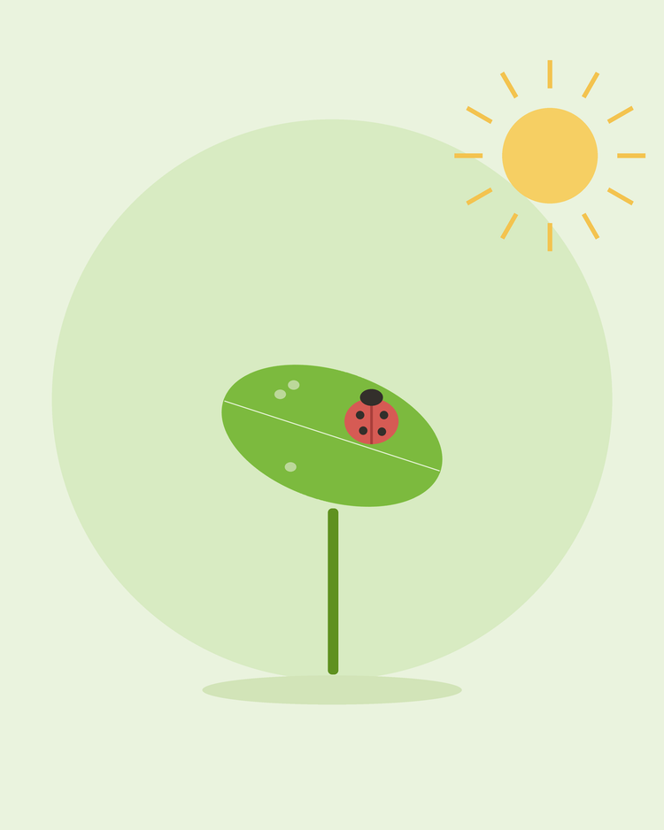 Ilustração plana de uma joaninha numa folha entre pulgões — como controlar as pragas mais comuns do jardim, da SeedsChoice