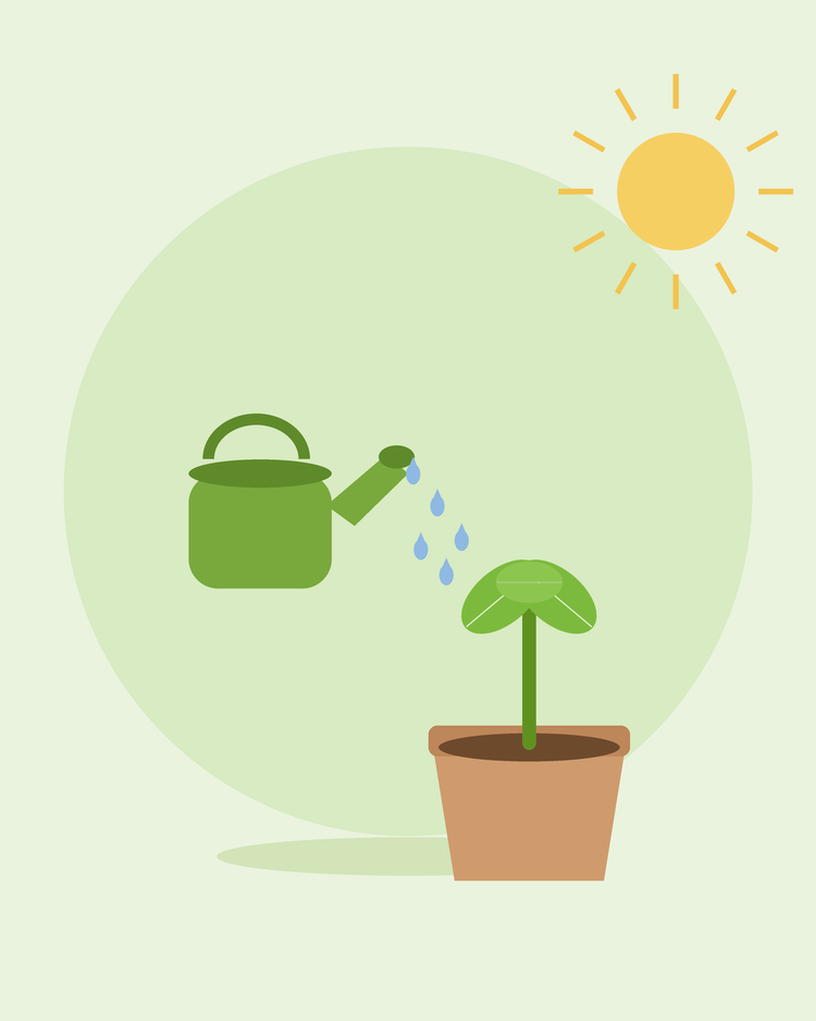 Ilustração plana de um regador verde a regar uma plântula em vaso — como regar o seu jardim, da SeedsChoice