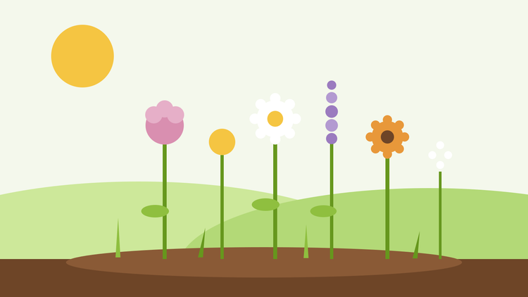 Jardim de flores para corte a partir de semente — ilustração plana de uma fila de flores coloridas para corte num canteiro