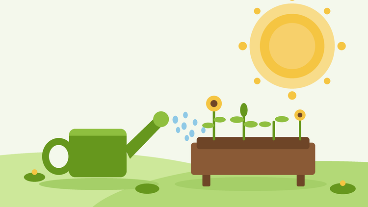 Regar durante uma vaga de calor — ilustração plana de um regador a ensopar um canteiro elevado sob um sol de verão intenso, da SeedsChoice