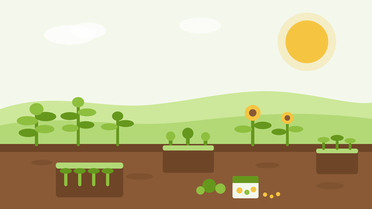 O que semear em agosto — ilustração plana de tabuleiros de sementeira com plântulas de salada, girassóis e um pacote de sementes num jardim de verão