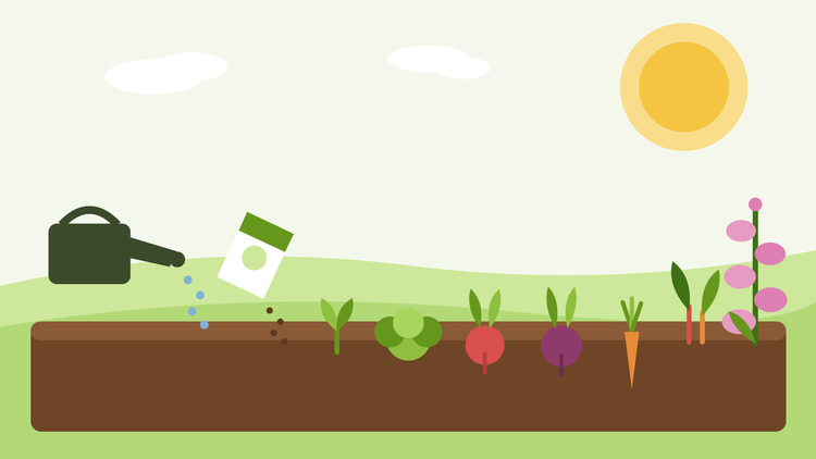 O que semear em julho — ilustração plana de um canteiro de verão semeado com saladas, raízes de outono e dedaleiras bienais, da SeedsChoice