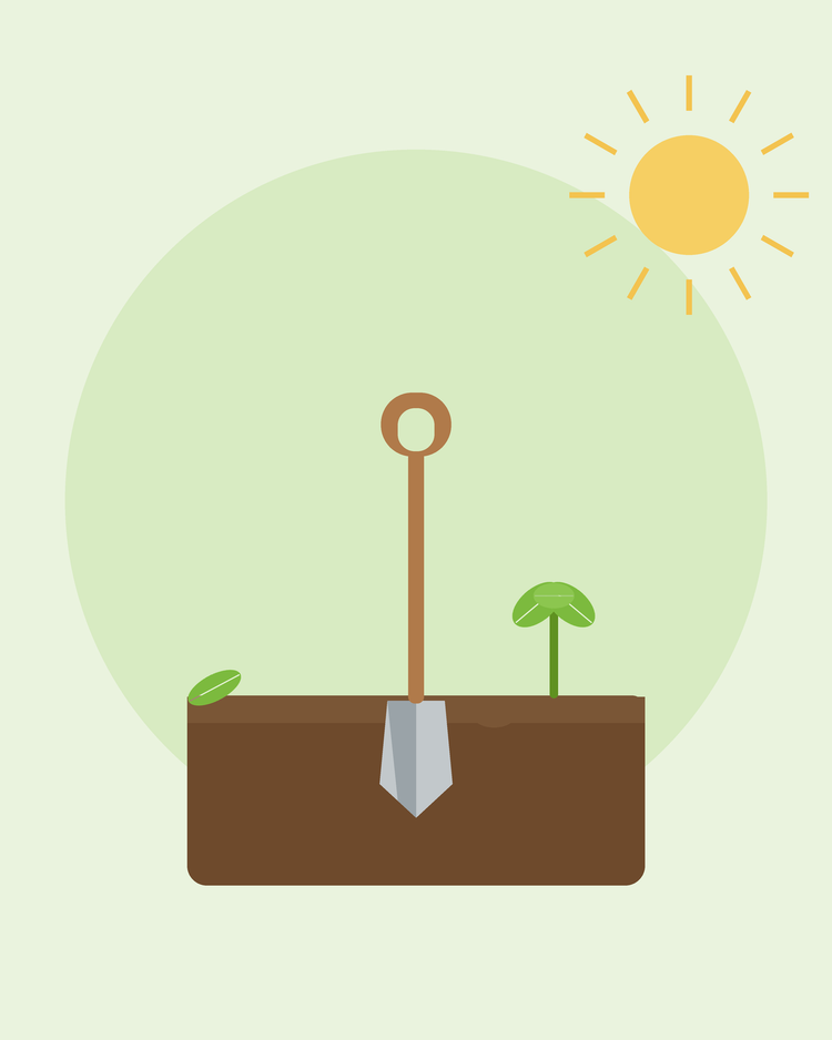 Ilustração plana de uma pá em terra preparada com uma plântula — como preparar o seu solo, da SeedsChoice
