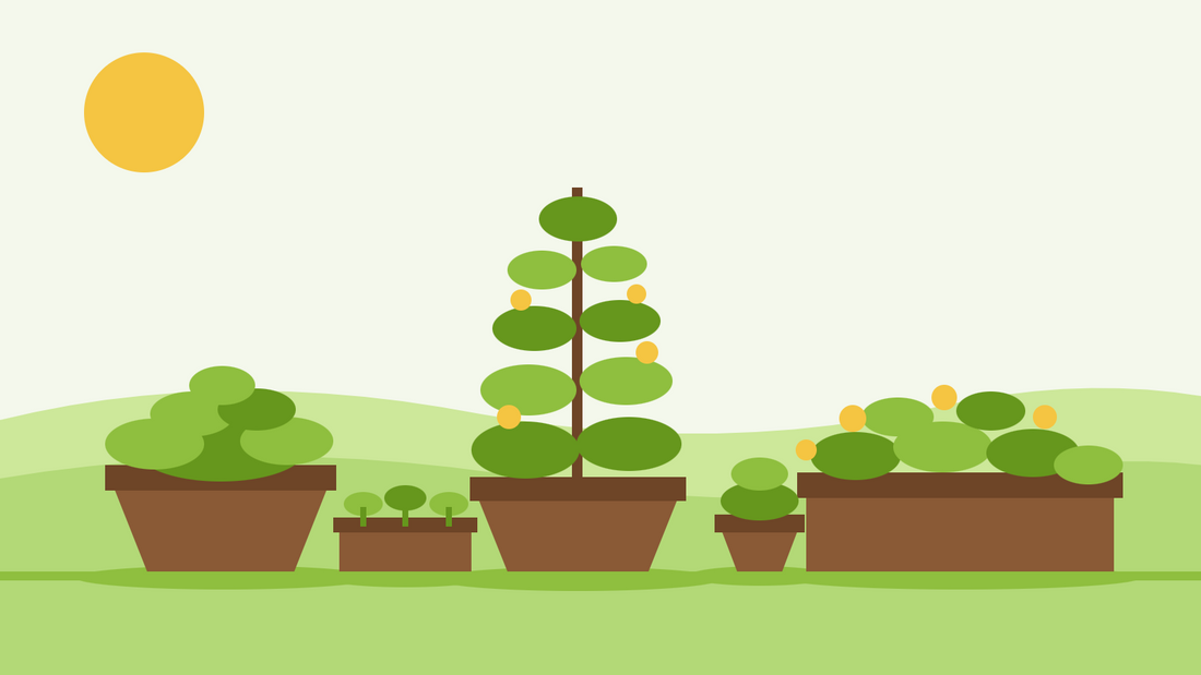 Jardinagem em vasos a partir de semente — ilustração plana de vasos de barro, uma jardineira de janela e um tabuleiro de sementeira com plântulas jovens num pátio ensolarado