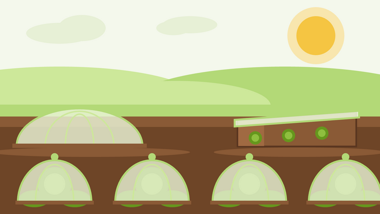 Como prolongar a época de cultivo — ilustração plana de campânulas e uma caixa fria a proteger plantas num canteiro de jardim