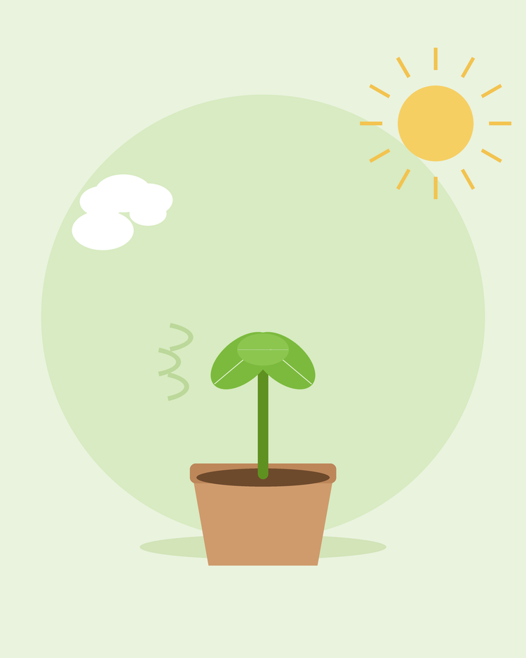 Ilustração plana de uma plântula em vaso no exterior, ao sol e à brisa — como aclimatar plântulas ao exterior, da SeedsChoice