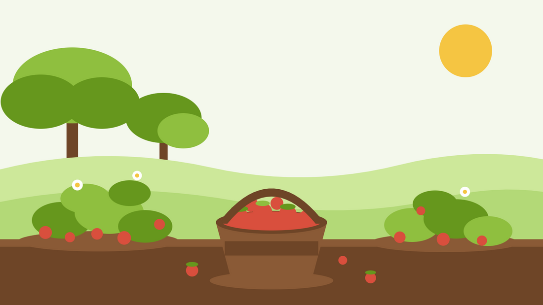 Colheita de morangos silvestres — ilustração plana de touceiras baixas de Fragaria vesca com pequenos frutos vermelhos ao lado de um cesto com fruta apanhada
