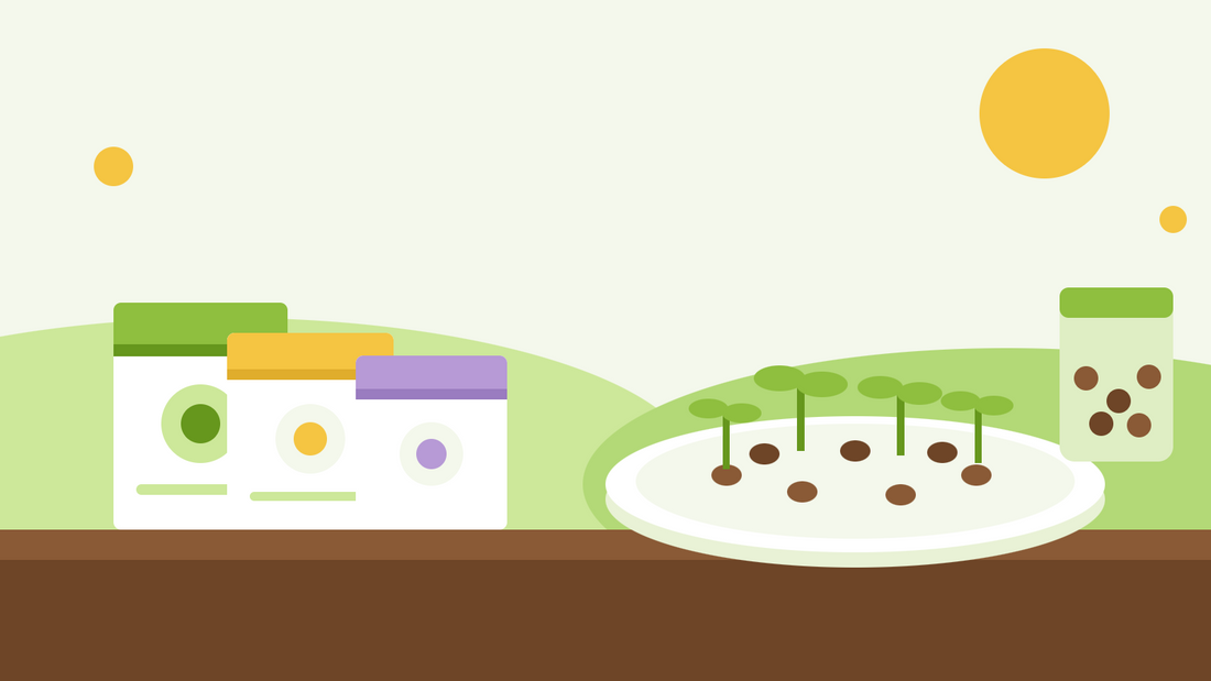 ¿Cuánto tiempo duran las semillas? — ilustración plana de sobres de semillas, un tarro de semillas y una bandeja de germinación con semillas brotando