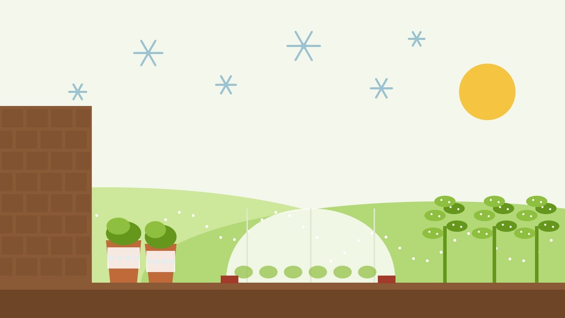 Cómo proteger las plantas de las heladas — ilustración plana de un túnel de velo térmico sobre un bancal de hortalizas, macetas envueltas junto a la pared de una casa y col rizada escarchada bajo cristales de hielo
