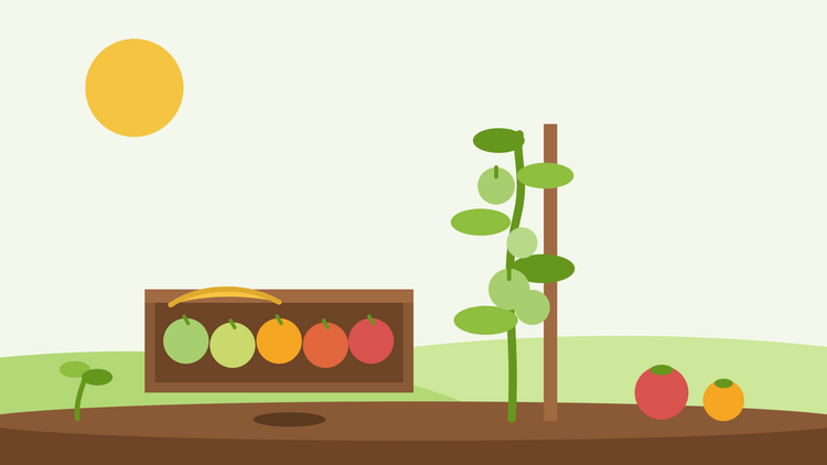 Como amadurecer tomates verdes — ilustração plana de um tabuleiro de madeira com tomates a mudar de verde para vermelho, acompanhados de uma banana, ao lado de uma planta de tomate tutorada
