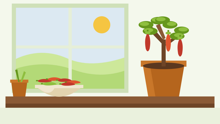 Como guardar plantas de pimento-malagueta durante o inverno — ilustração plana de uma planta de malagueta podada num vaso sobre um parapeito, ao lado de uma tigela com malaguetas vermelhas colhidas