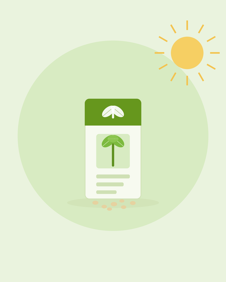 Ilustração plana de uma embalagem de sementes com um ícone de rebento e sementes espalhadas — como interpretar embalagens de sementes, da SeedsChoice