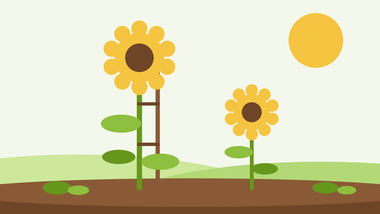 Cuidados com o girassol — ilustração simples de um girassol alto atado a um tutor de madeira junto de um girassol mais pequeno num jardim ensolarado