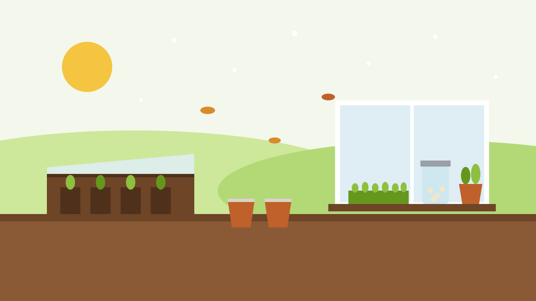 Qué sembrar en noviembre — ilustración plana de plántulas en una cajonera fría, macetas de vivaces al aire libre y un alféizar con microverdes, un tarro de germinados y aromáticas