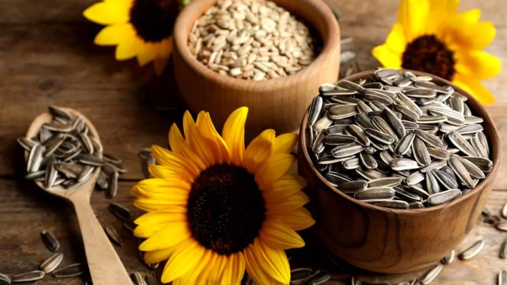 Sementes de Flores – SeedsChoice