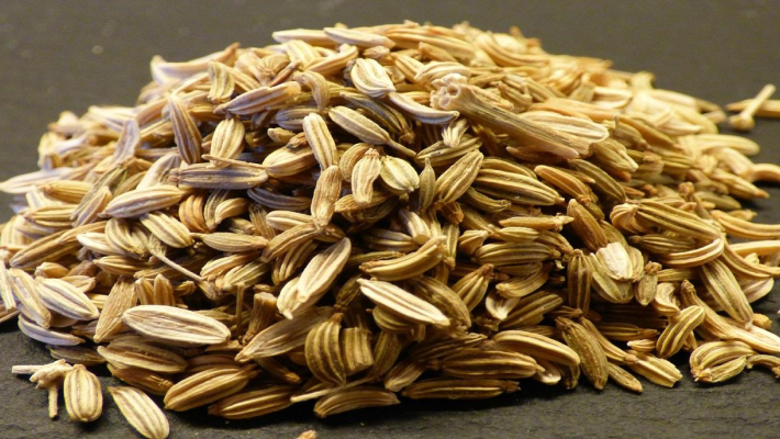 Sementes de Ervas Aromáticas – SeedsChoice