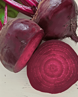 Sementes de beterraba Egyptian Turnip Rooted biológica Beta vulgaris anual
