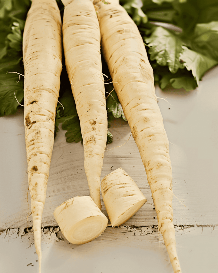 Sementes de pastinaca Guernsey (Pastinaca sativa) – vegetal anual biológico
