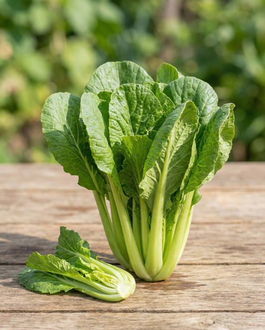 Grelos de Nabo Namenia (Brassica rapa) – sementes biológicas de hortícola anual da SeedsChoice
