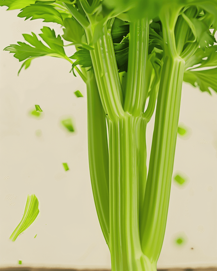 Sementes de aipo Tall Utah 52 70 (Apium graveolens) – vegetal anual biológico