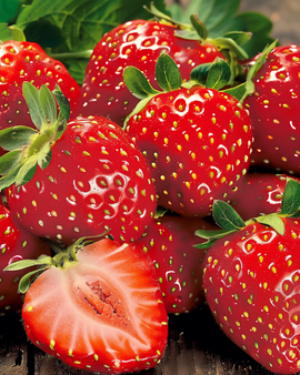 Sementes de morango Grandian F1 Fragaria ananassa anual