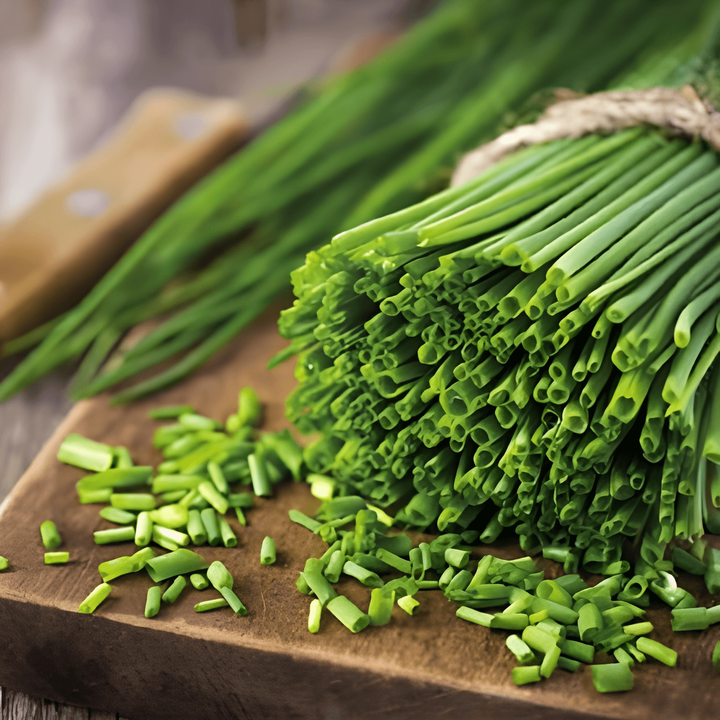 Sementes de cebolinho Prager Medium Fine (Allium schoenoprasum) – erva aromática vivaz