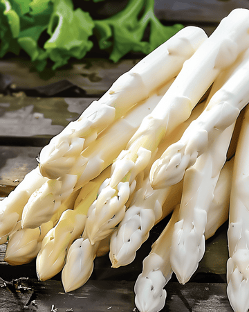 Sementes de espargo Early Argenteuil (Asparagus officinalis) – planta perene