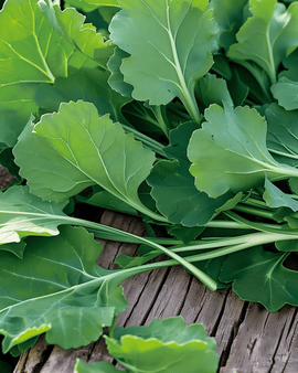 Turnip Leaves Seeds Brassica Rapa Annual