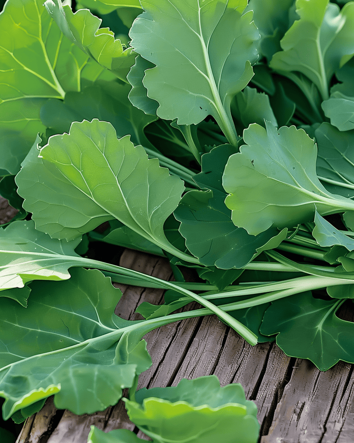 Sementes de folhas de nabo (Brassica rapa) – legume anual