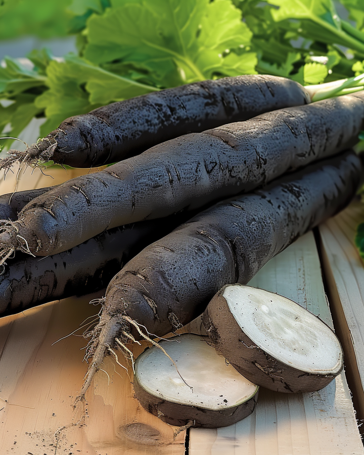 Sementes Duplex (Scorzonera hispanica) – legume anual
