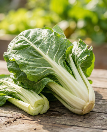 Acelga Lucullus (Beta vulgaris) – sementes de vegetal anual da SeedsChoice