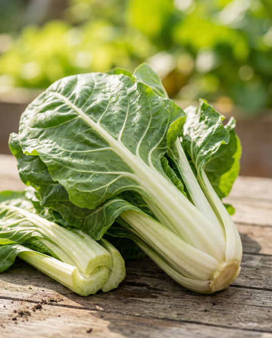 Acelga Lucullus (Beta vulgaris) – sementes de vegetal anual da SeedsChoice