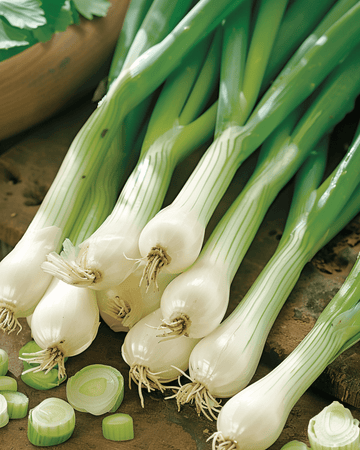 Sementes de cebolinha Ishikura (Allium fistulosum) – hortaliça anual
