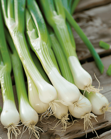 Sementes de cebolinha White Lisbon (Allium cepa) – hortaliça anual