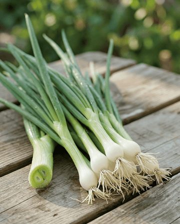Cebolinha White Lisbon (Allium cepa) – sementes de hortaliça anual da SeedsChoice