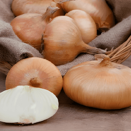 Onion Rossa Lunga Di Firenze Seeds Allium Cepa Annual Italian Red