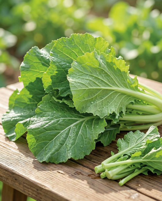 Amsoi (Brassica juncea) – sementes de legume anual da SeedsChoice