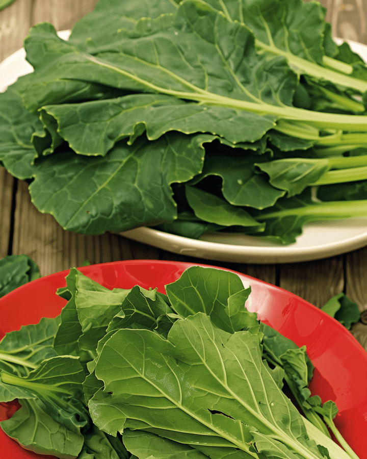 Sementes de Komatsuna Mustard Spinach (Brassica rapa) – legume