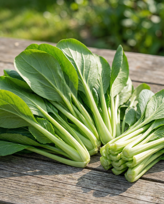 Komatsuna Mustard Spinach (Brassica rapa) – sementes de legume da SeedsChoice