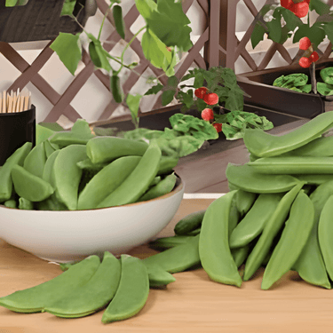 Semillas de guisante mollar Delikett (Pisum sativum) – hortaliza anual