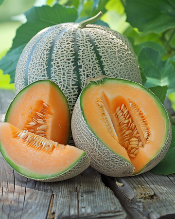 Sementes de melão Zatta (Cucumis melo) – vegetal