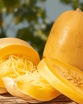 Semillas de calabaza espagueti Cucurbita pepo variedad hortaliza anual