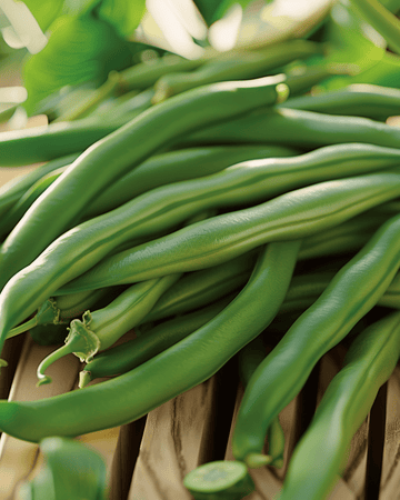 Sementes de feijão-anão Ferrari 20g (Phaseolus vulgaris) – legume anual