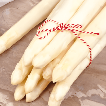 Sementes Argenteuil (Asparagus officinalis) – planta perene