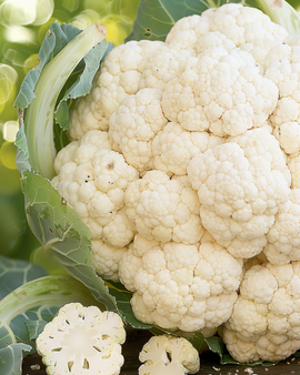Cauliflower Seeds Autumn Giant 2 Brassica Oleracea Annual Large Heads