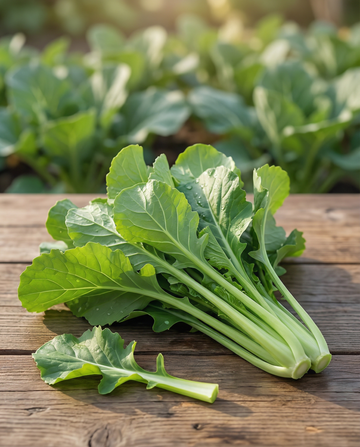 Sementes de namenia (Brassica rapa) – sementes de hortícola anual na SeedsChoice