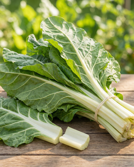 Acelga Lucullus (Beta vulgaris) – sementes de vegetal anual da SeedsChoice