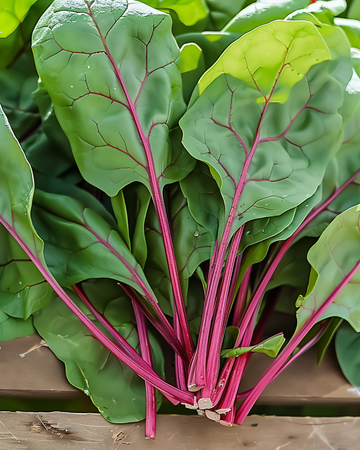 Sementes de espinafre Red Kitten F1 (Spinacia oleracea) – kit de cultivo anual
